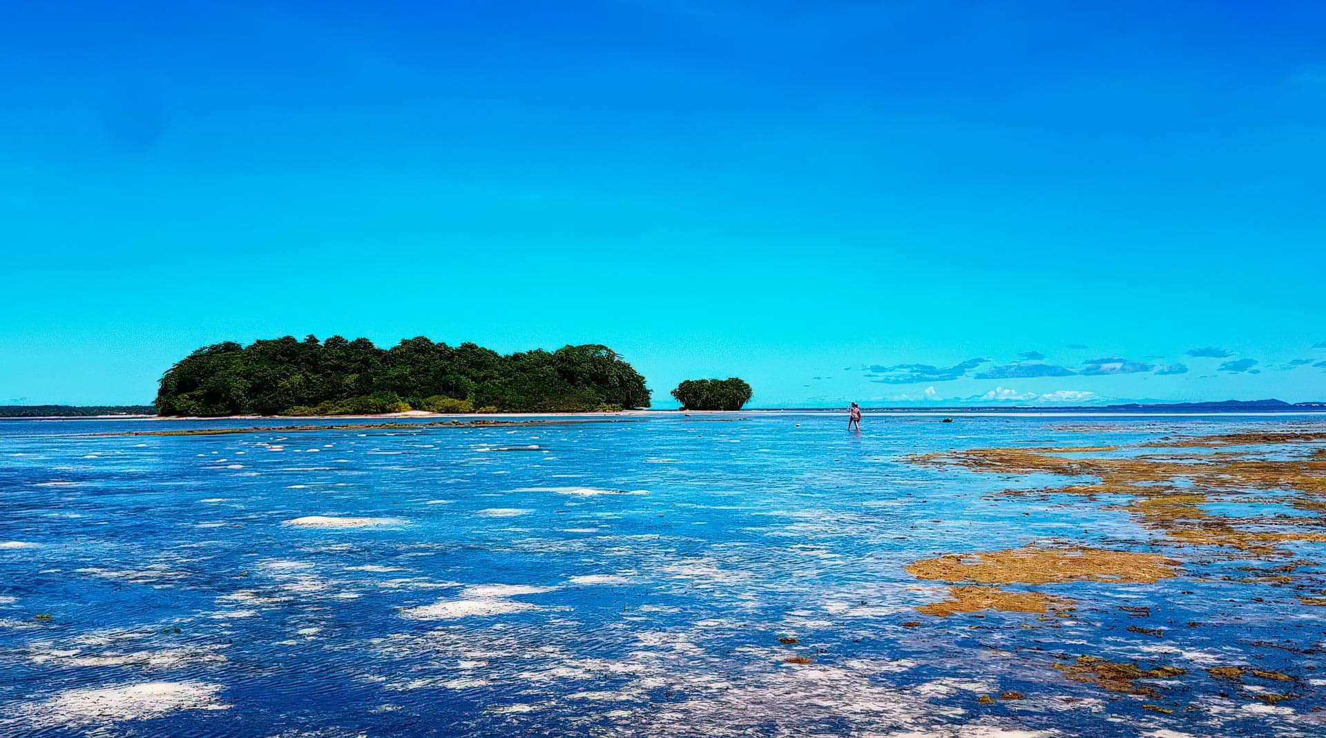 Еркіндіктің құны: жеке арал сатып алудың қыр-сыры және құқықтық шектеулер