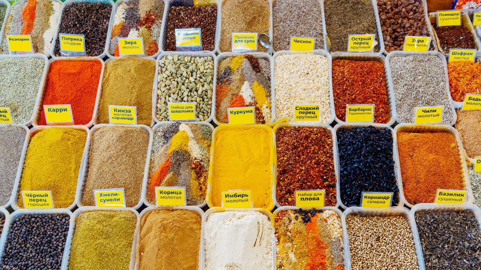 Фото: Тимур Омуралиев