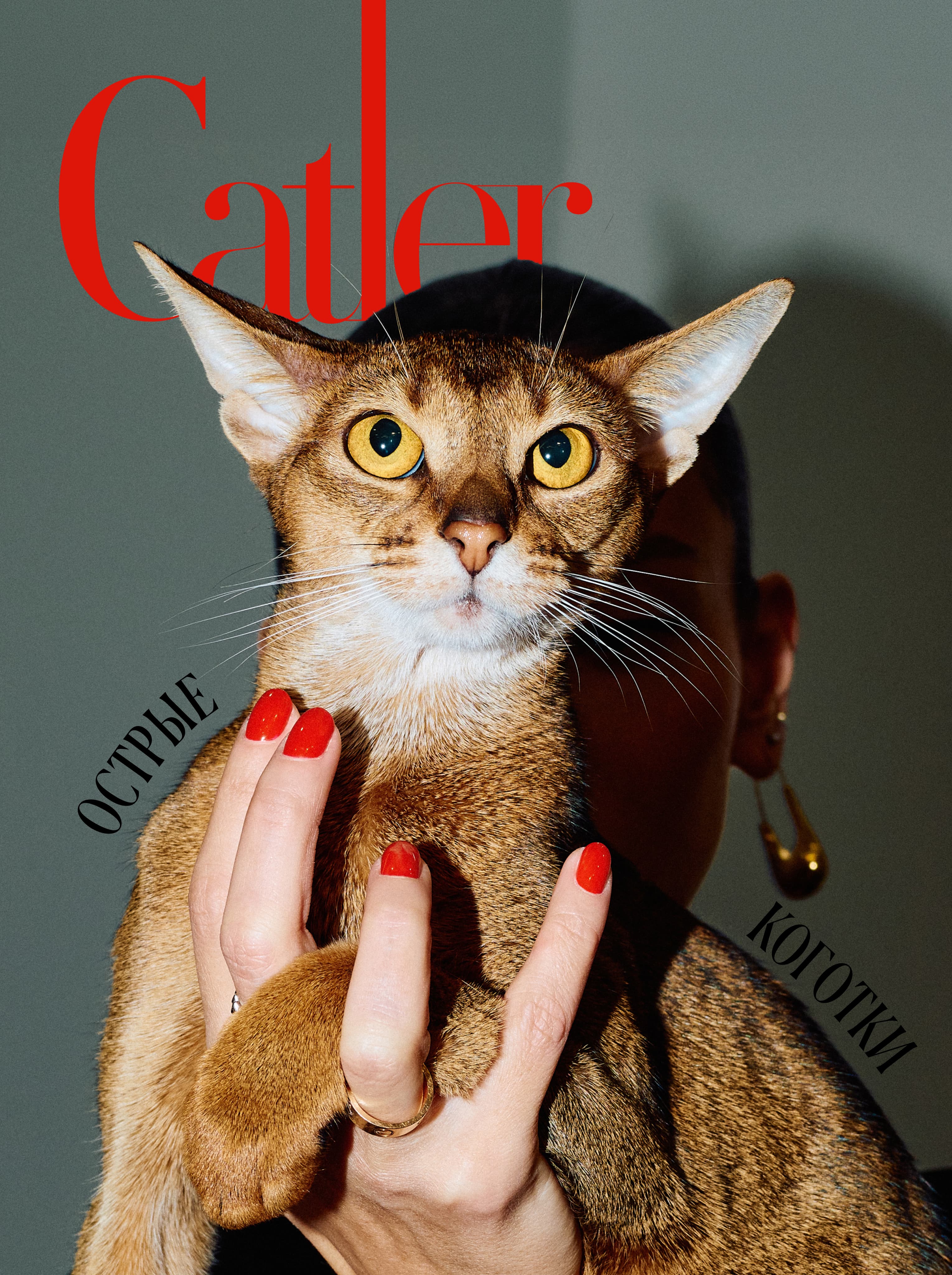 Фотограф: Нуртас Сиссекенов