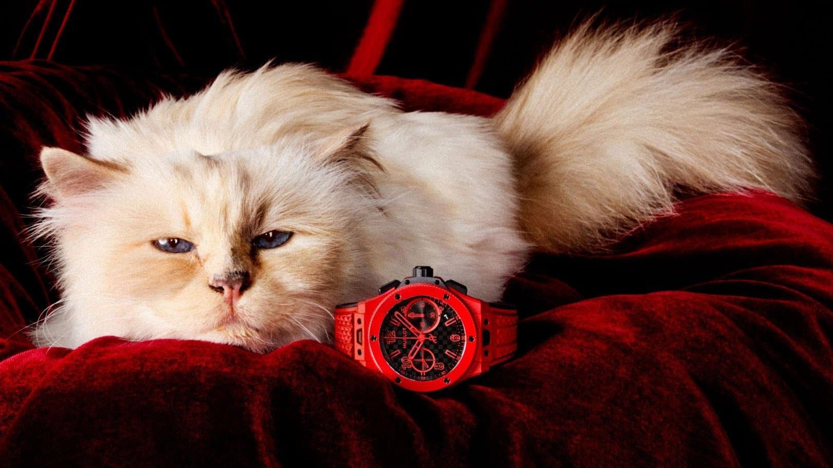 Hublot