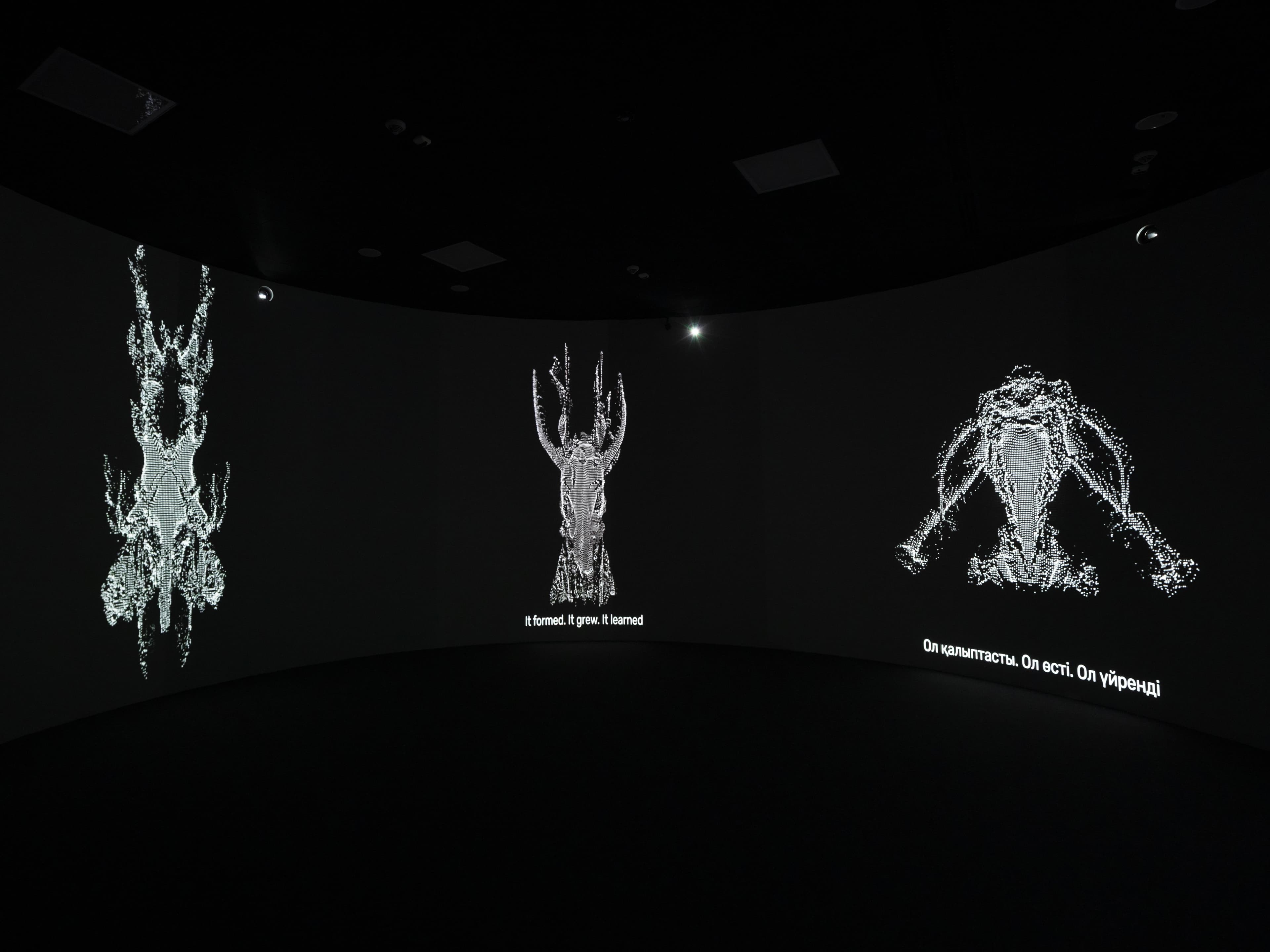 Выставка по мотивам 60-й Венецианской биеннале