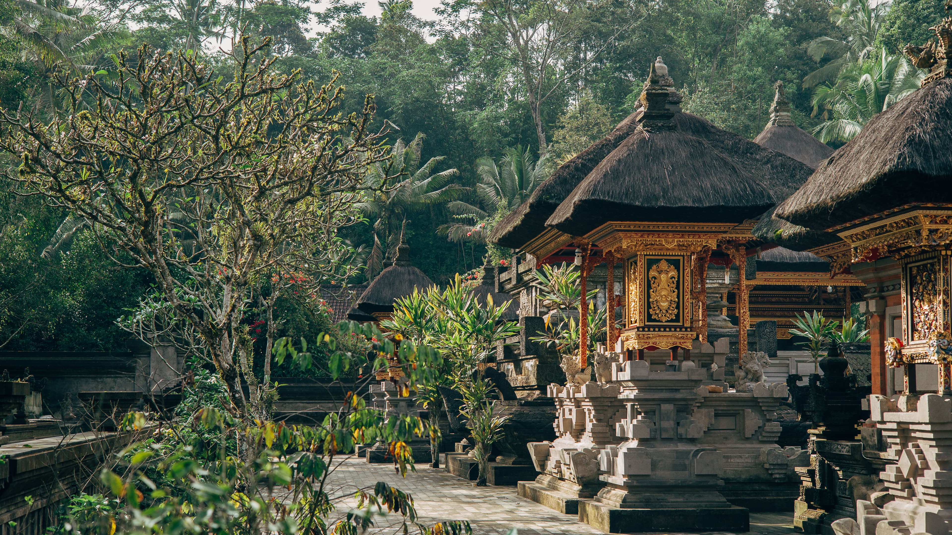 Ubud, Bali | Getty Images