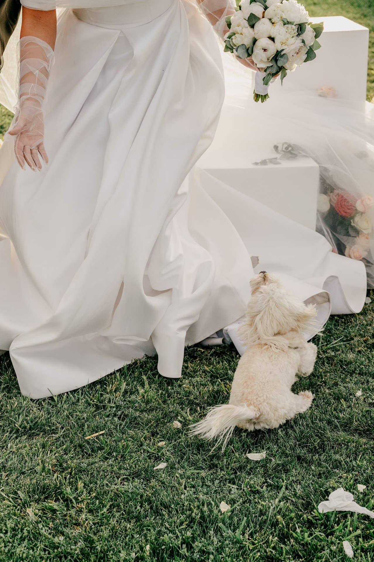 Моя большая казахская свадьба: истории блогеров