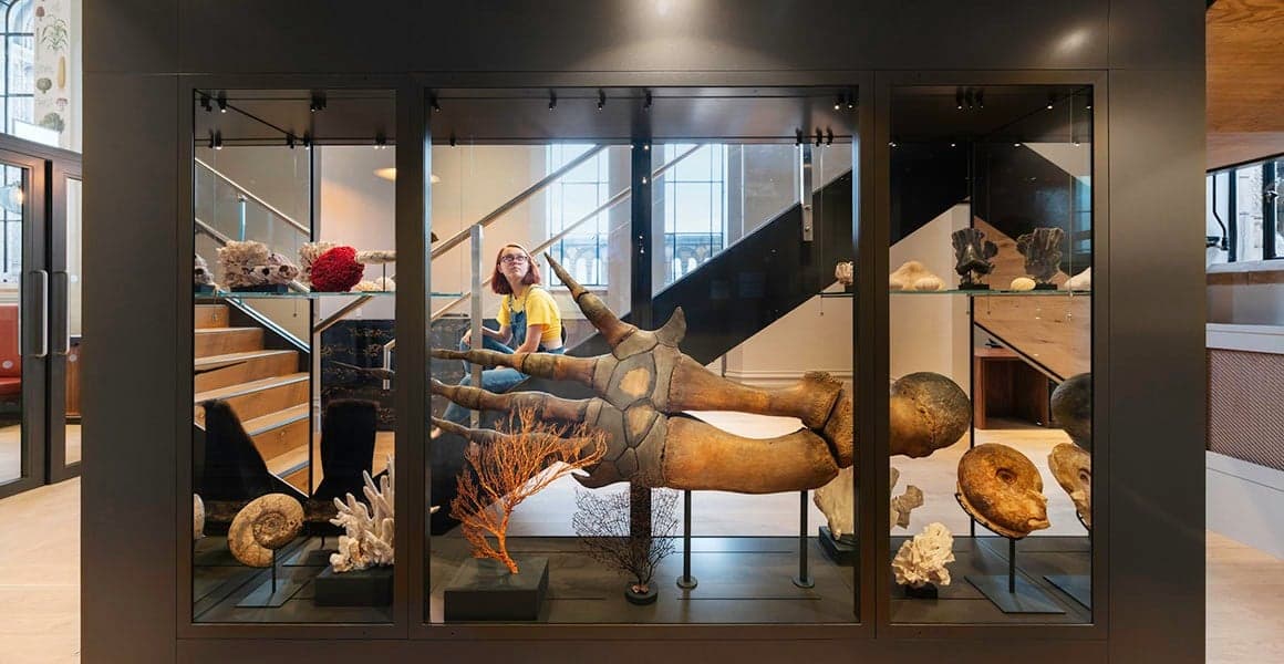 nhm.ac.uk