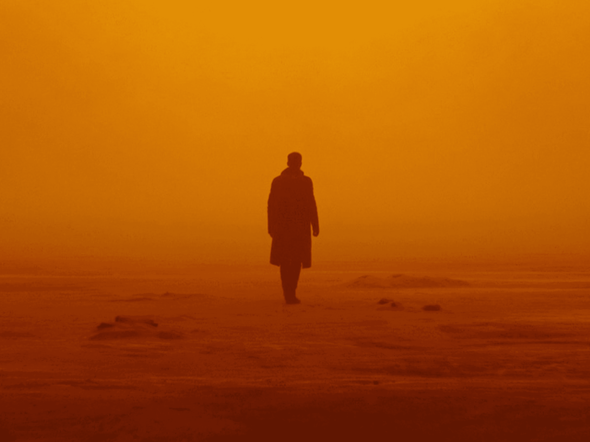 «Бегущий по лезвию 2049», 2017