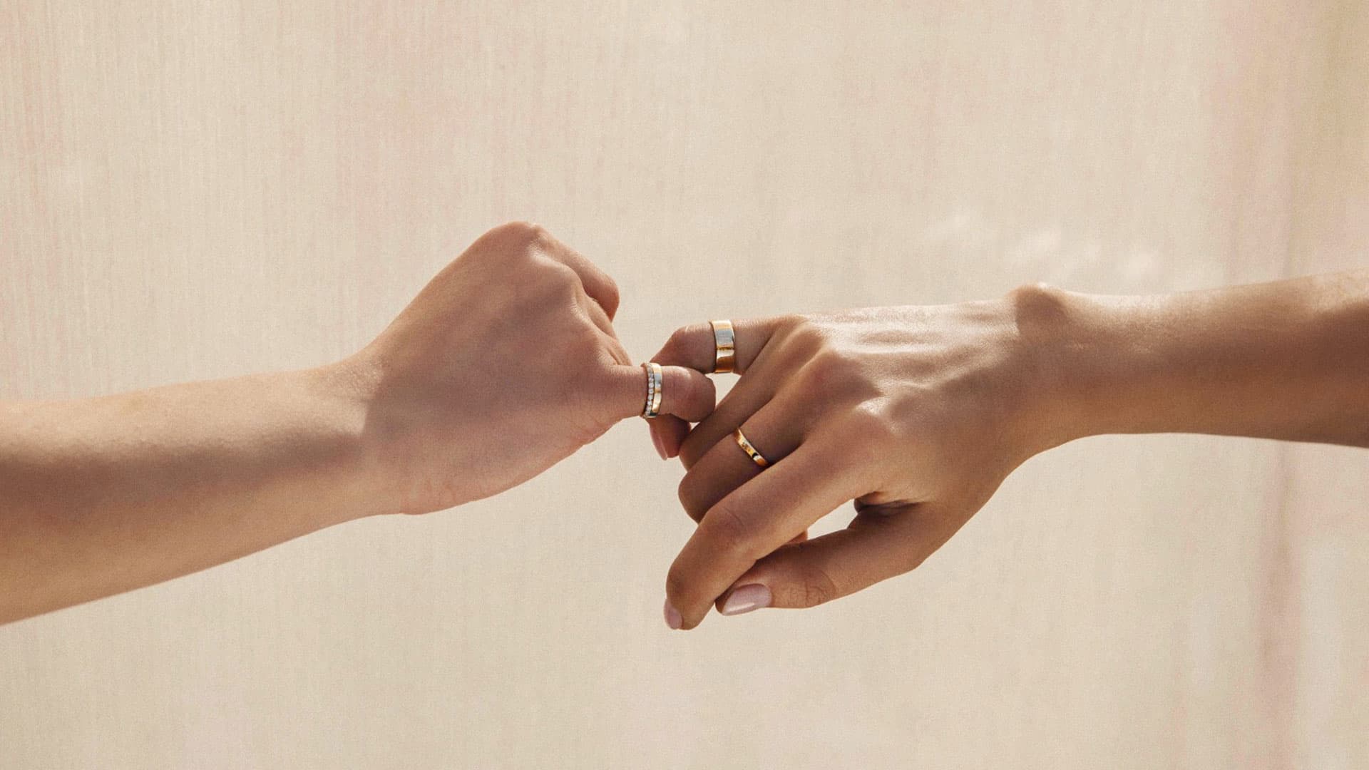 Архив пресс-служб La voie nomade