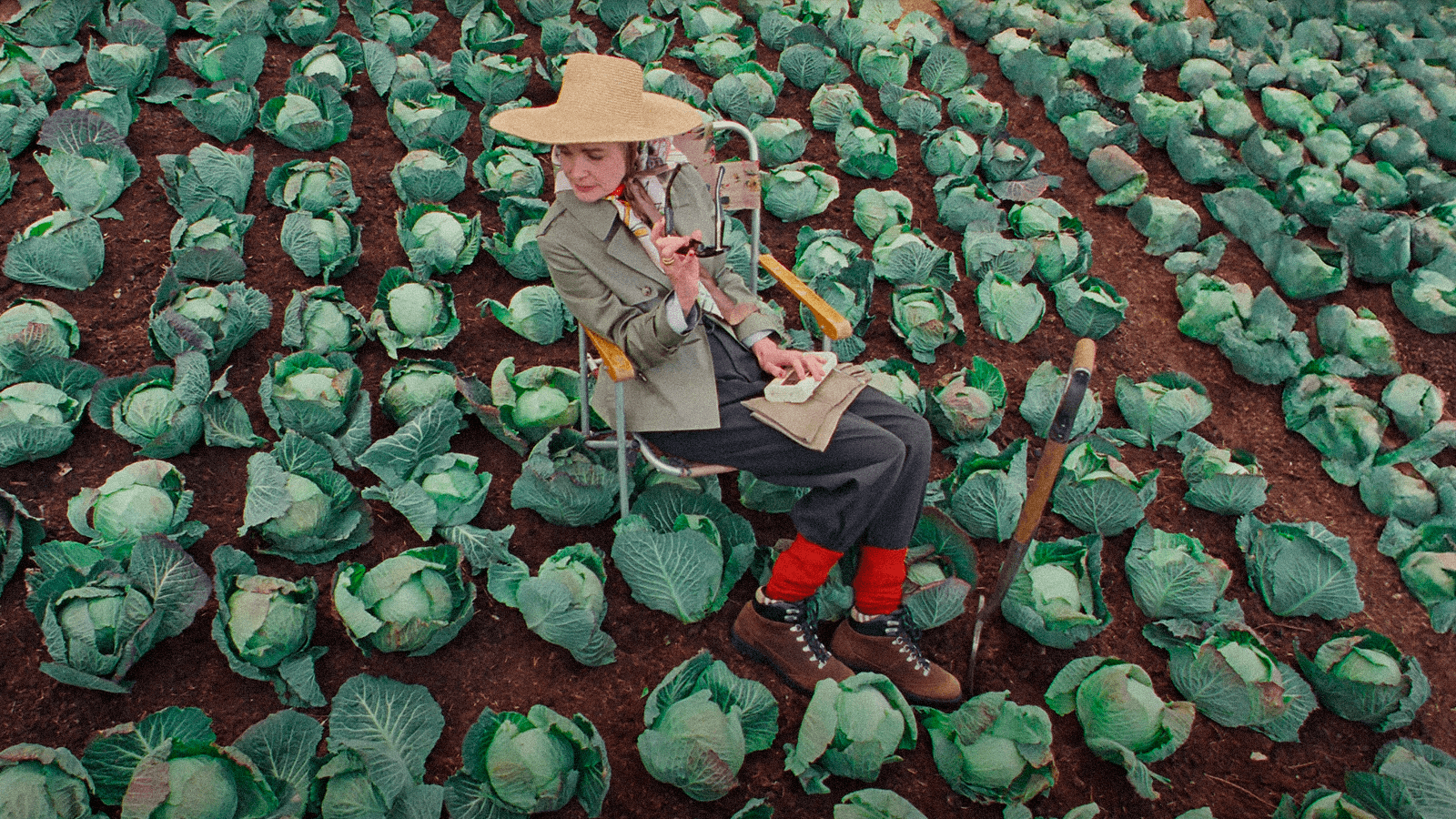 highgrovegardens.com