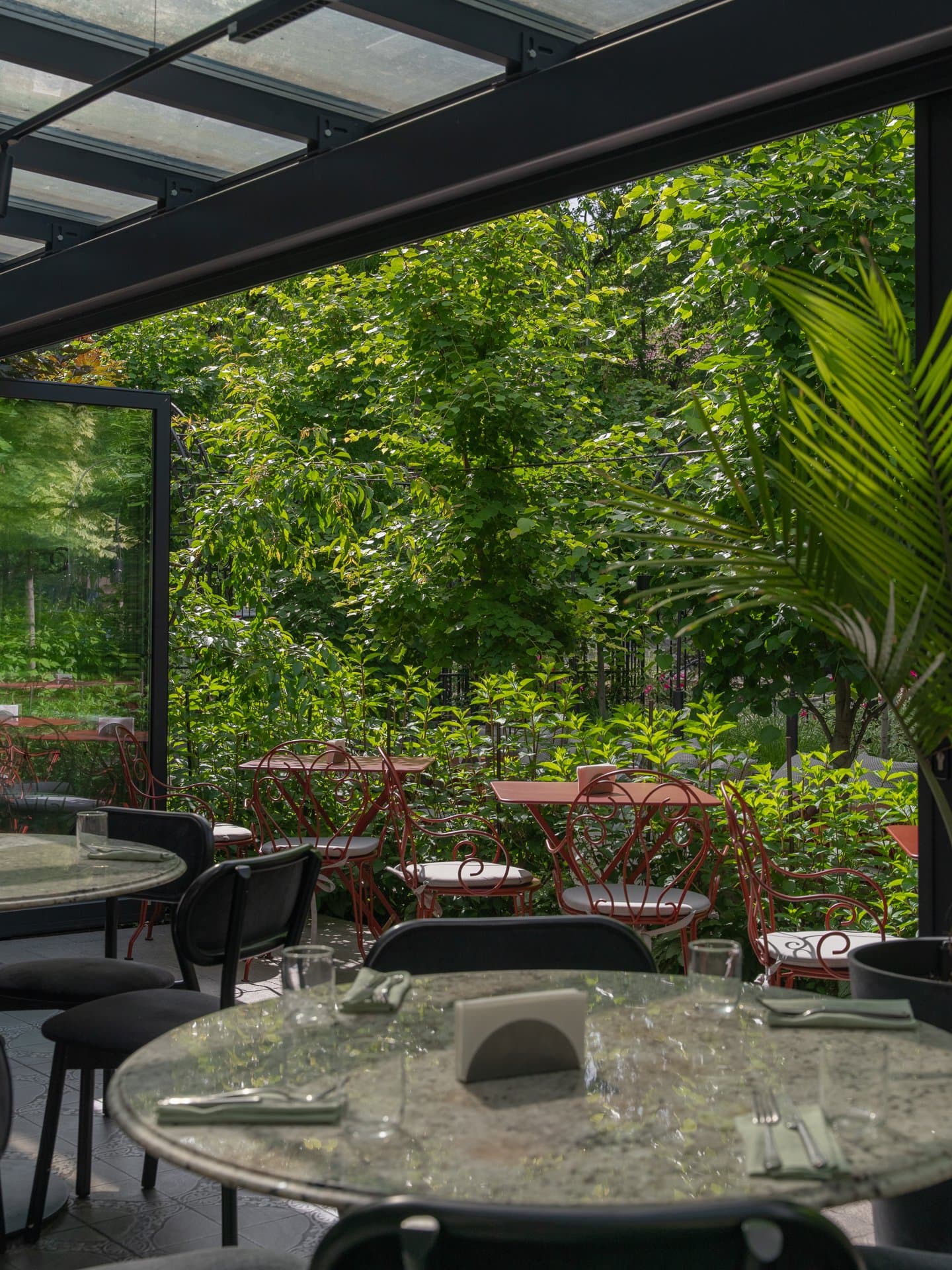 Giardino