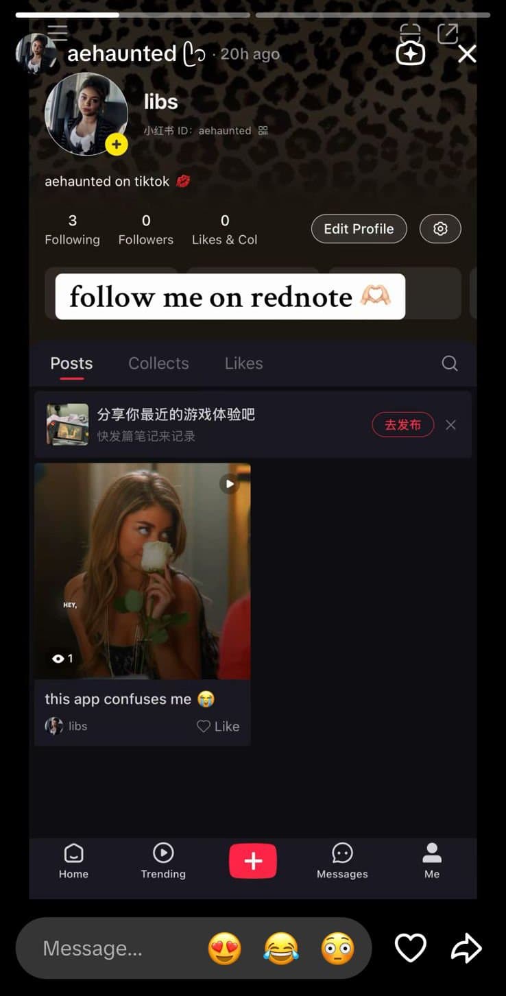 TikTok прекратит свою работу в США