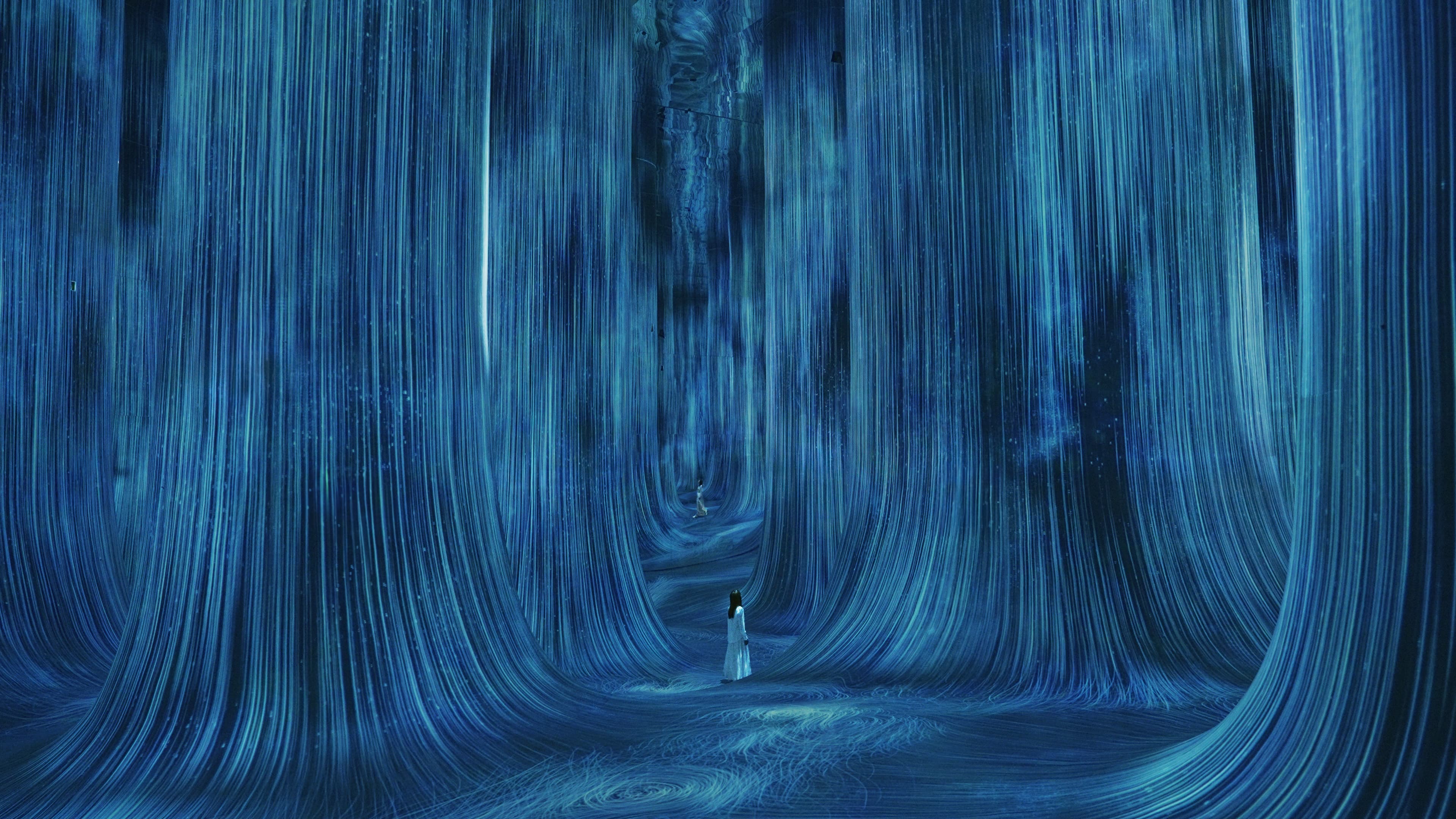 teamLab Phenomena