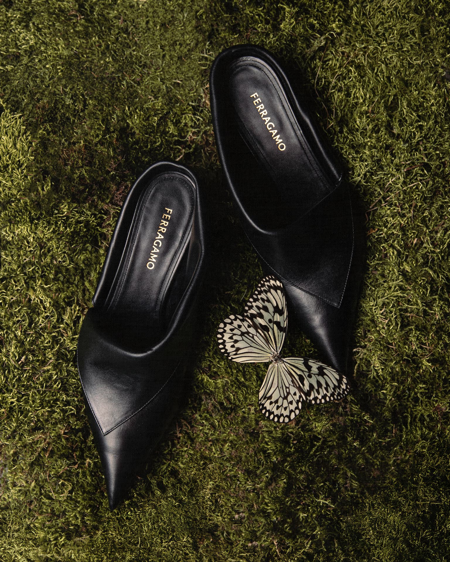 Архив пресс-службы