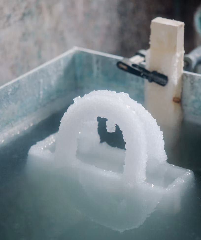 Кристалданған Lady Dior: өсу мен табиғат күшінің нышаны