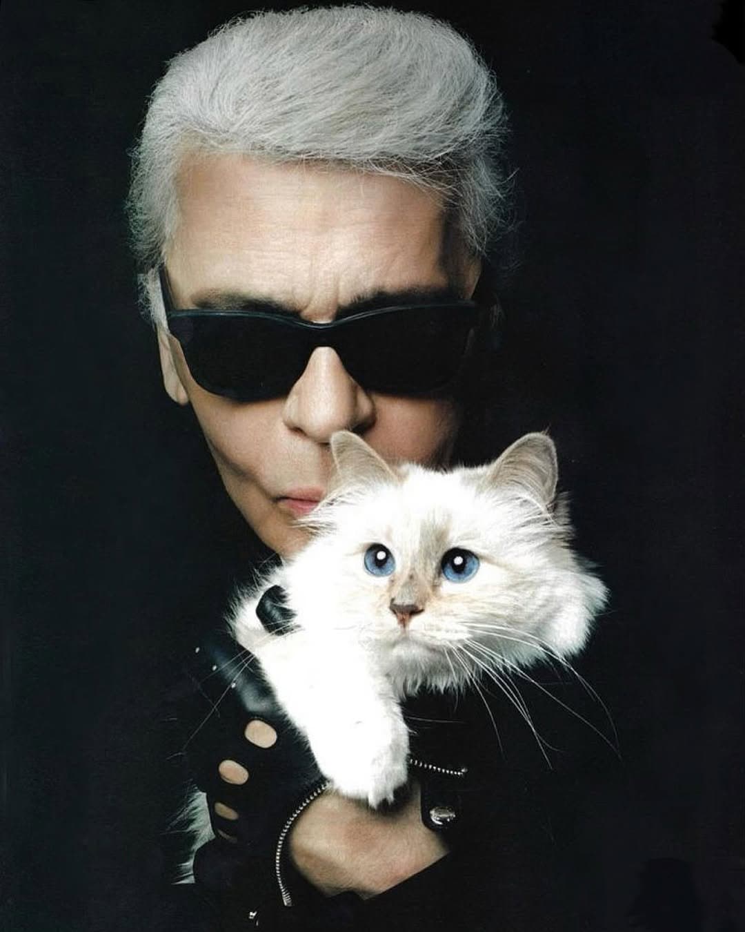 Instagram @choupetteofficiel