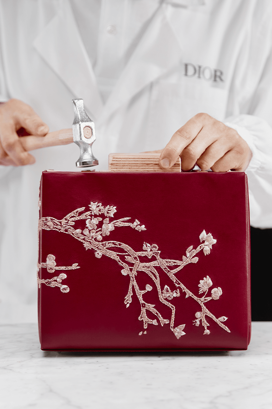 Dior-дағы шие лебі