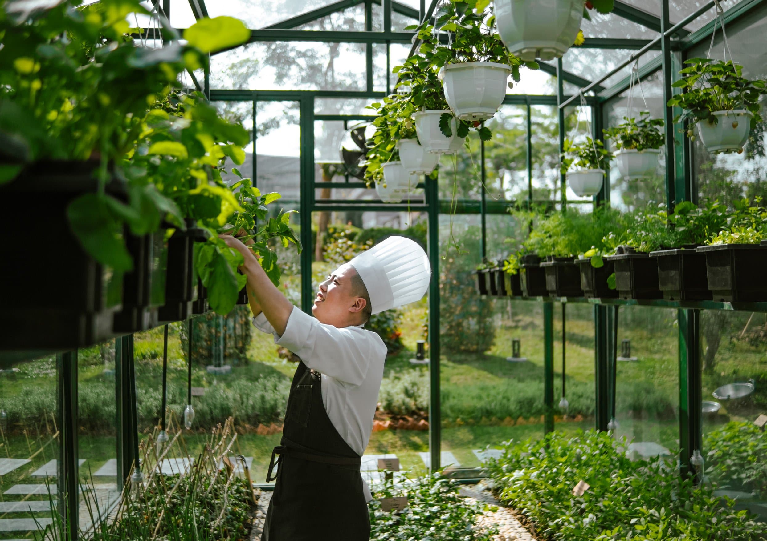 Фото: Marriot International «The Future of Food 2025»