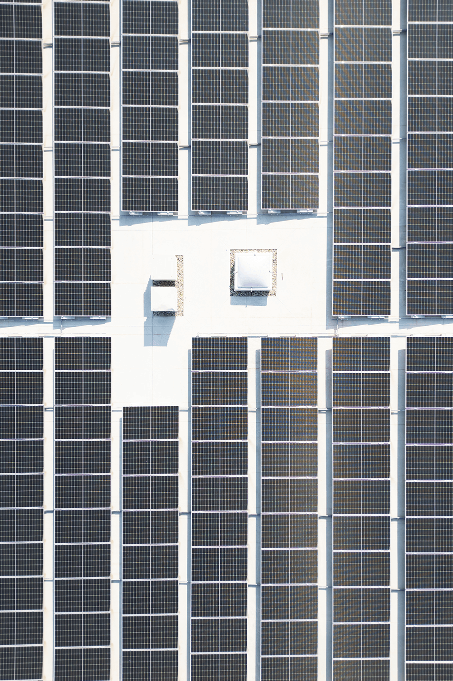 Bvlgari – экологиялық тұрақтылықтың кепілі