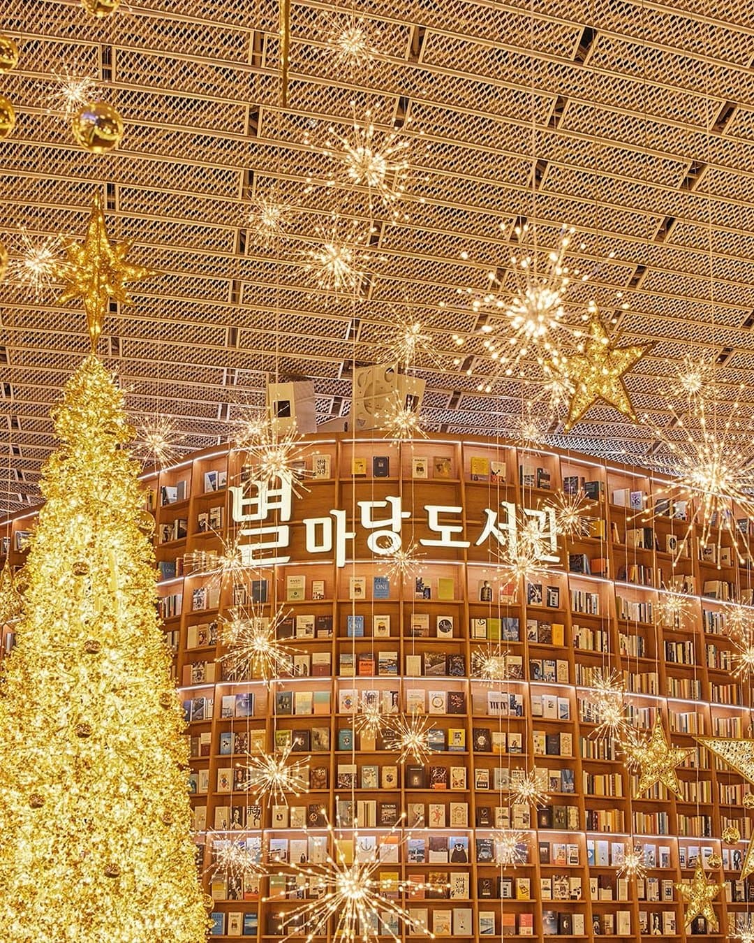 Starfield Library | Instagram @starfield.library