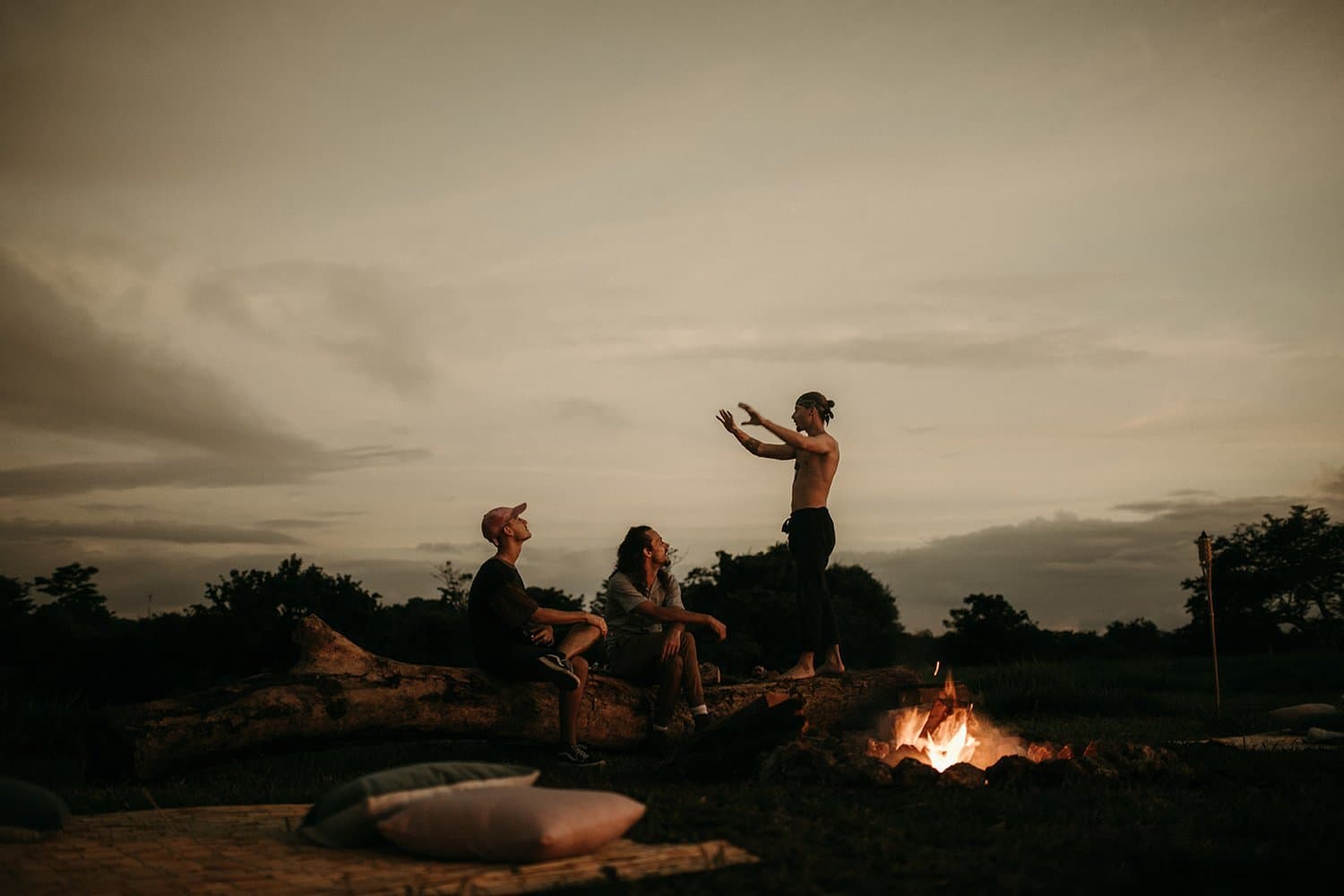 Фото: theark.world