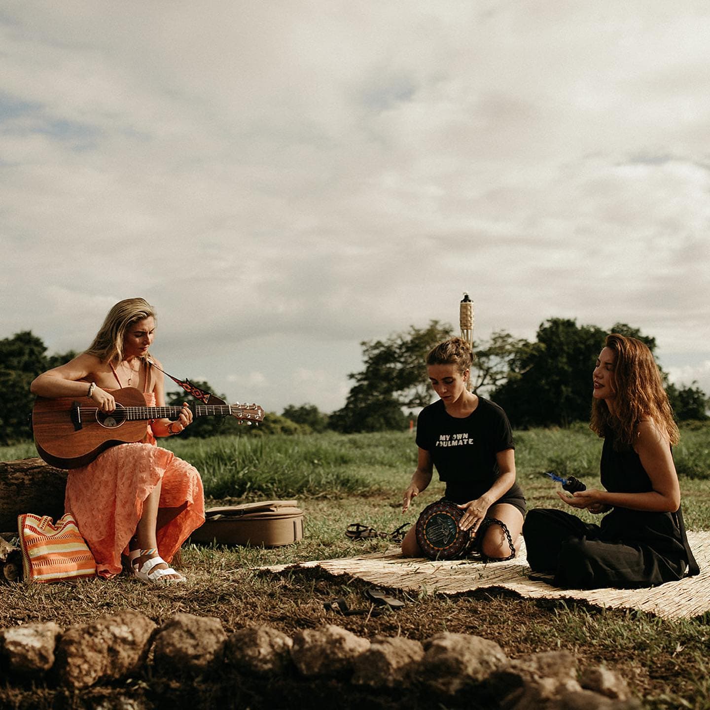 Фото: theark.world