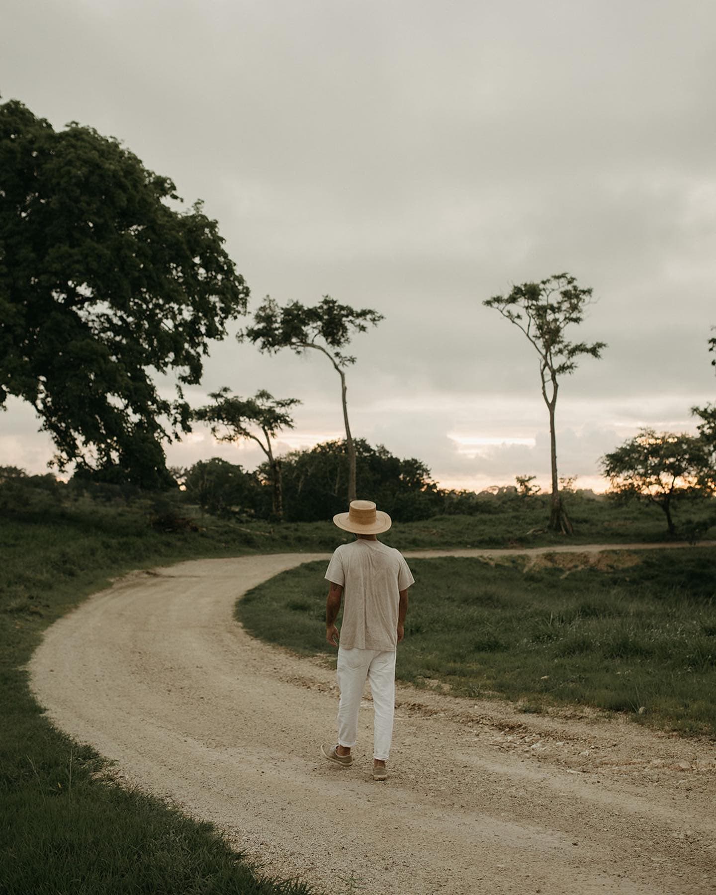 Фото: theark.world