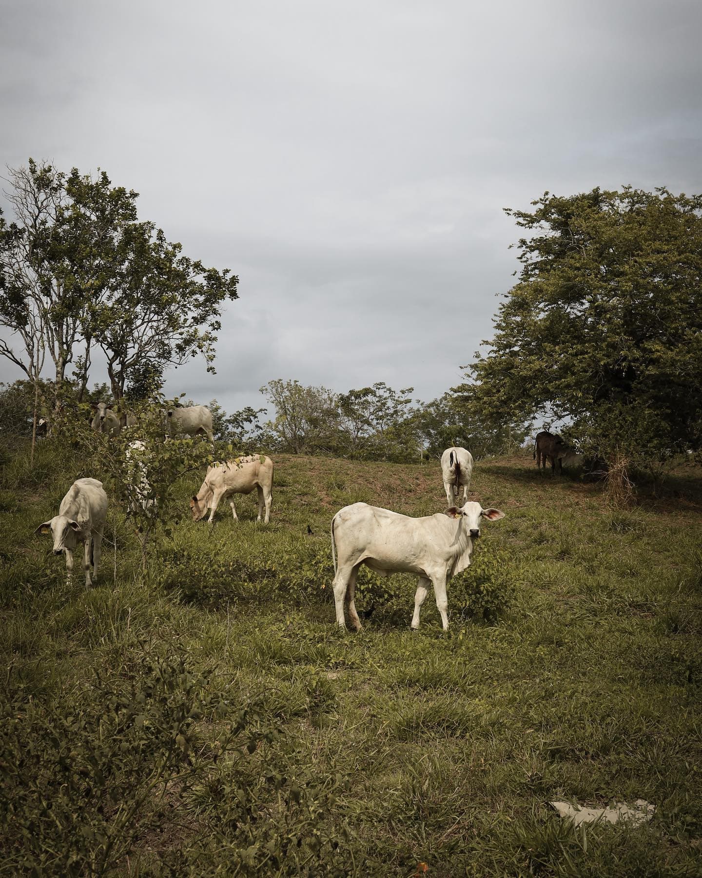 Фото: theark.world