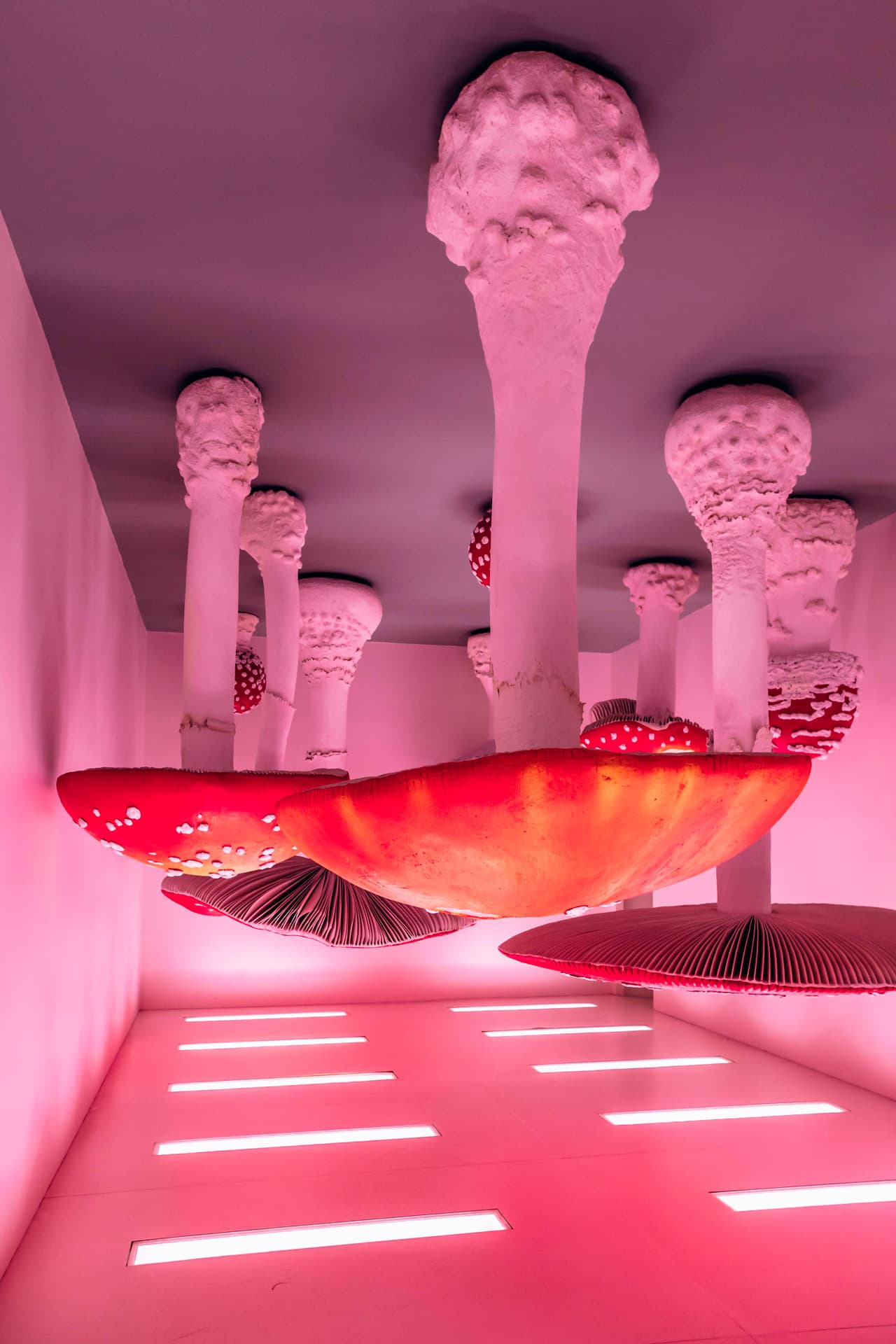 Carsten Höller Upside-Down Mushroom Room | Alamy