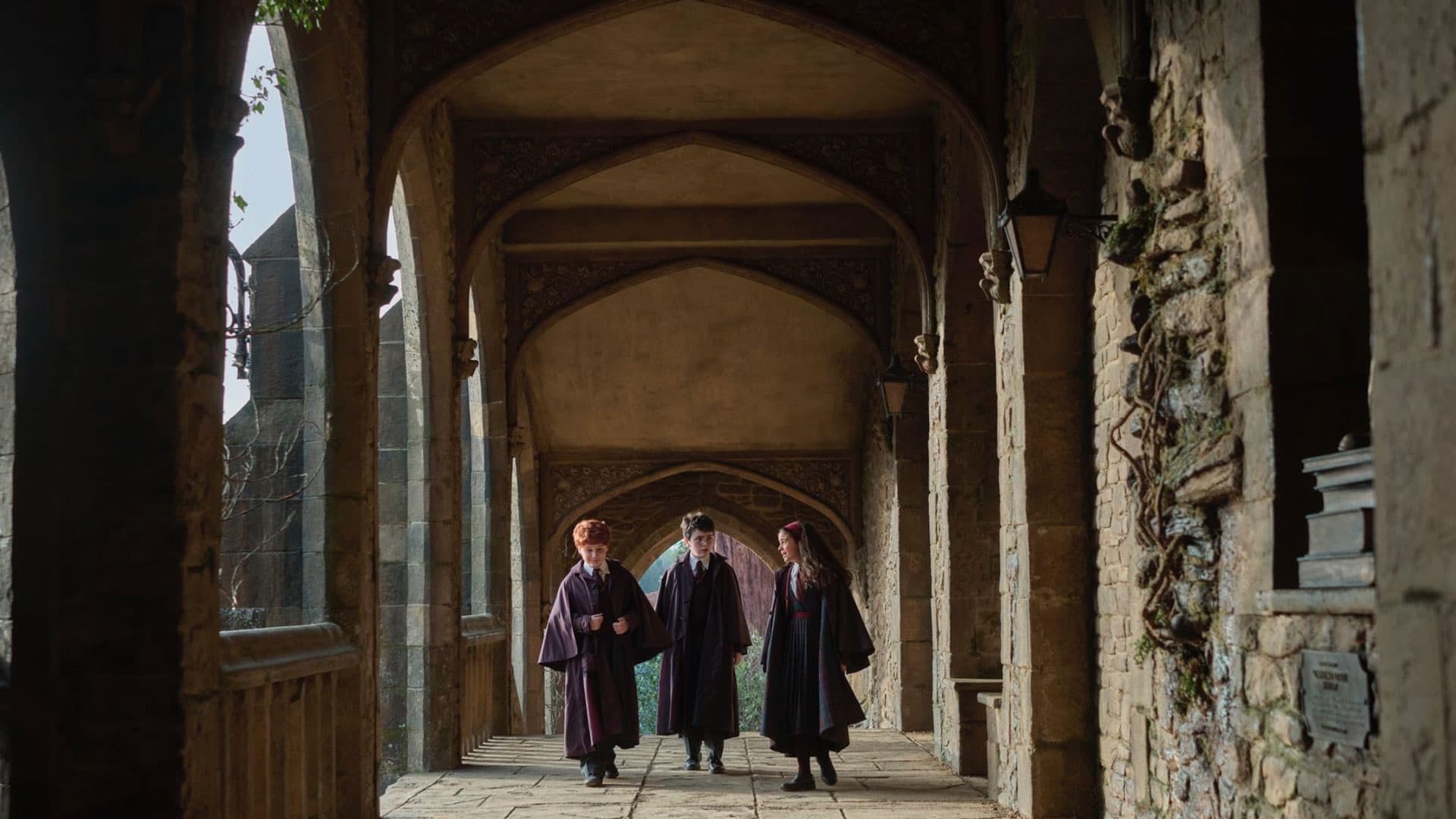 Кадр из сериала «Гарри Поттер» | IMDb