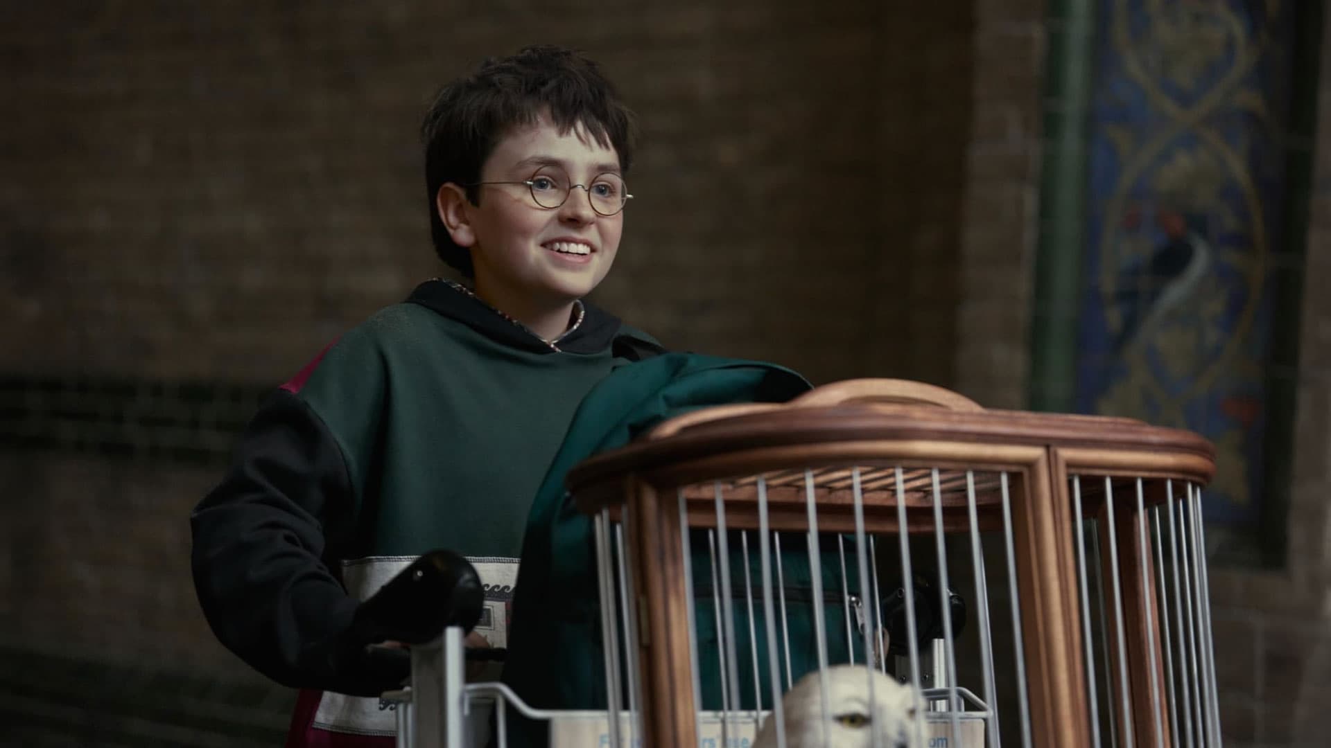 Доминик Маклафлин в роли Гарри Поттера в сериале «Гарри Поттер» | IMDb