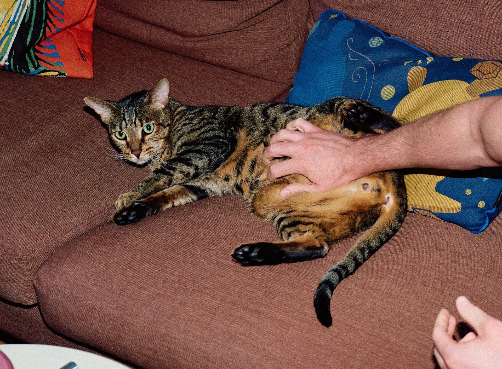 Фотограф: Нуртас Сиссекенов