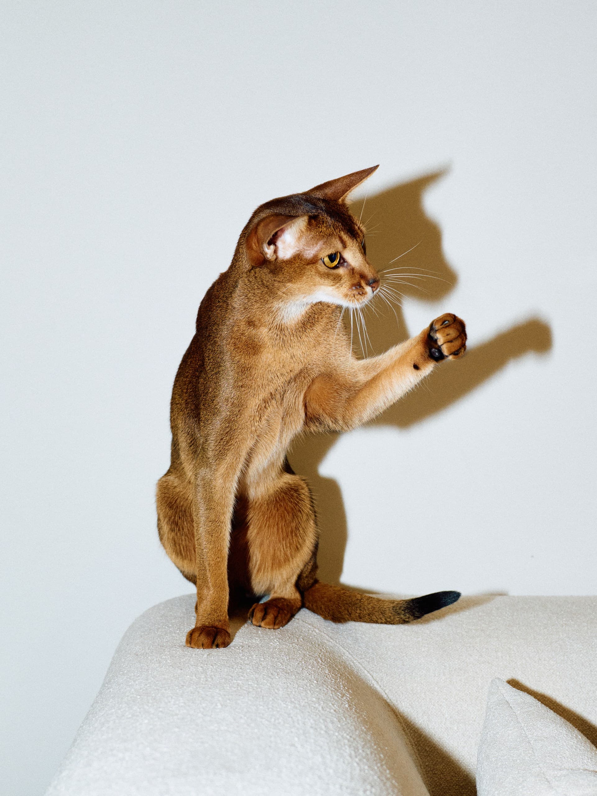 Фотограф: Нуртас Сиссекенов