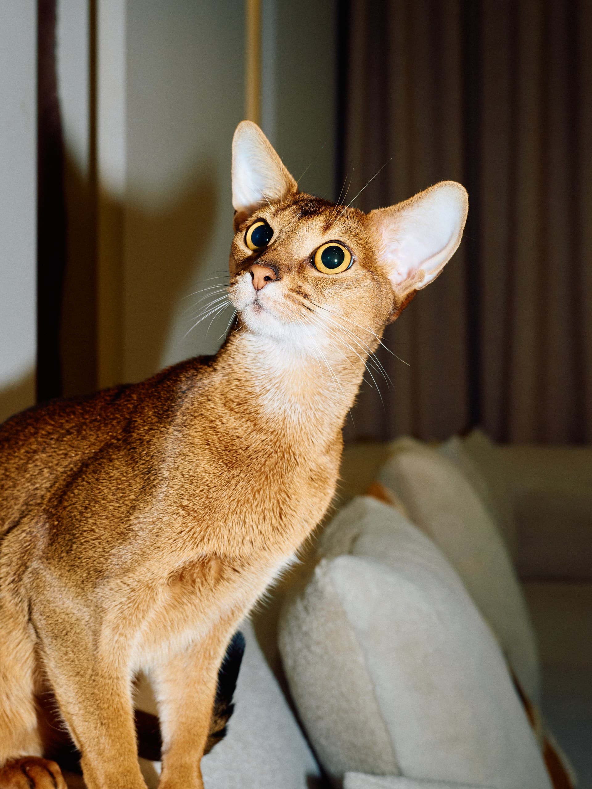 Фотограф: Нуртас Сиссекенов