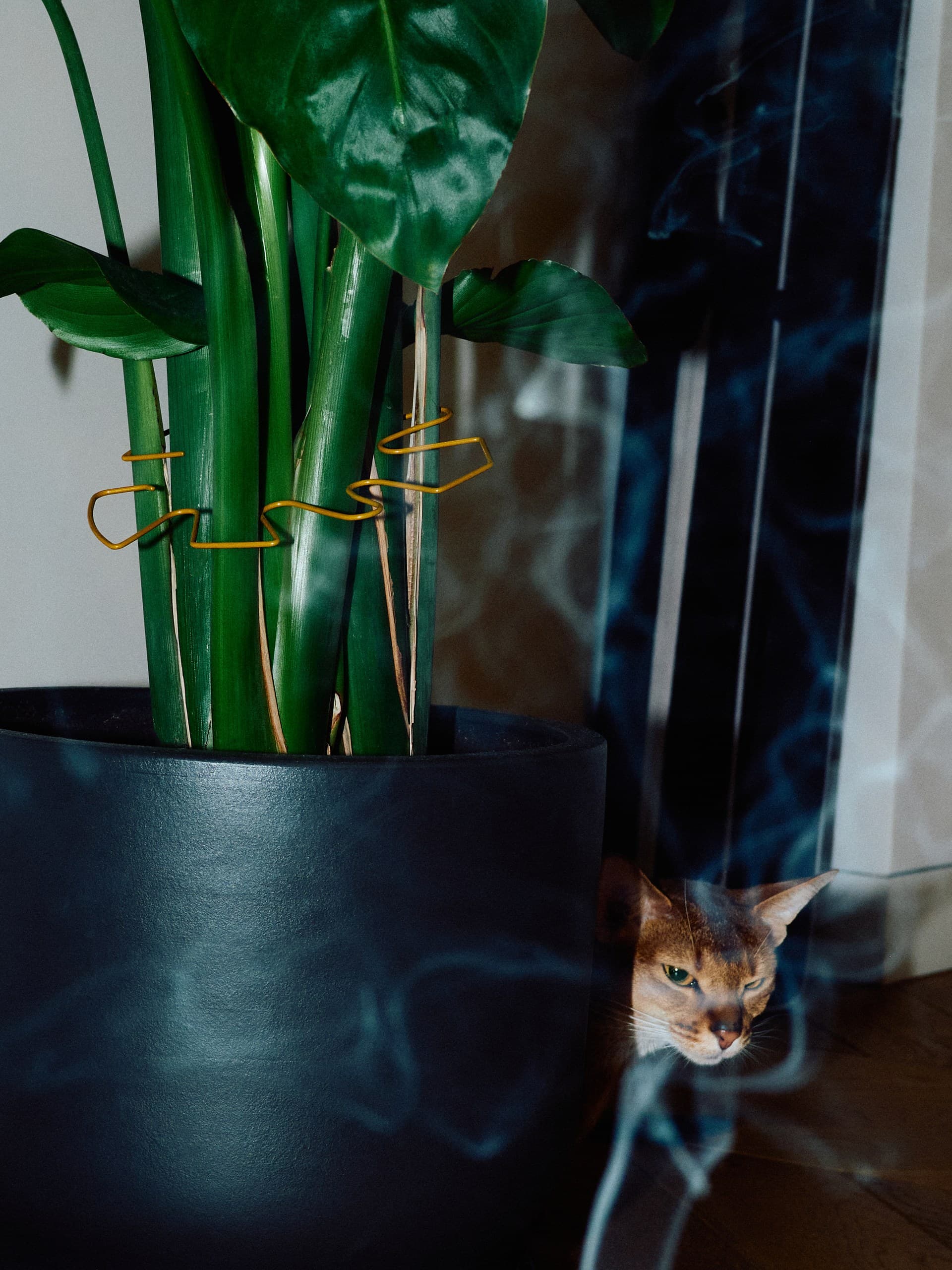 Фотограф: Нуртас Сиссекенов