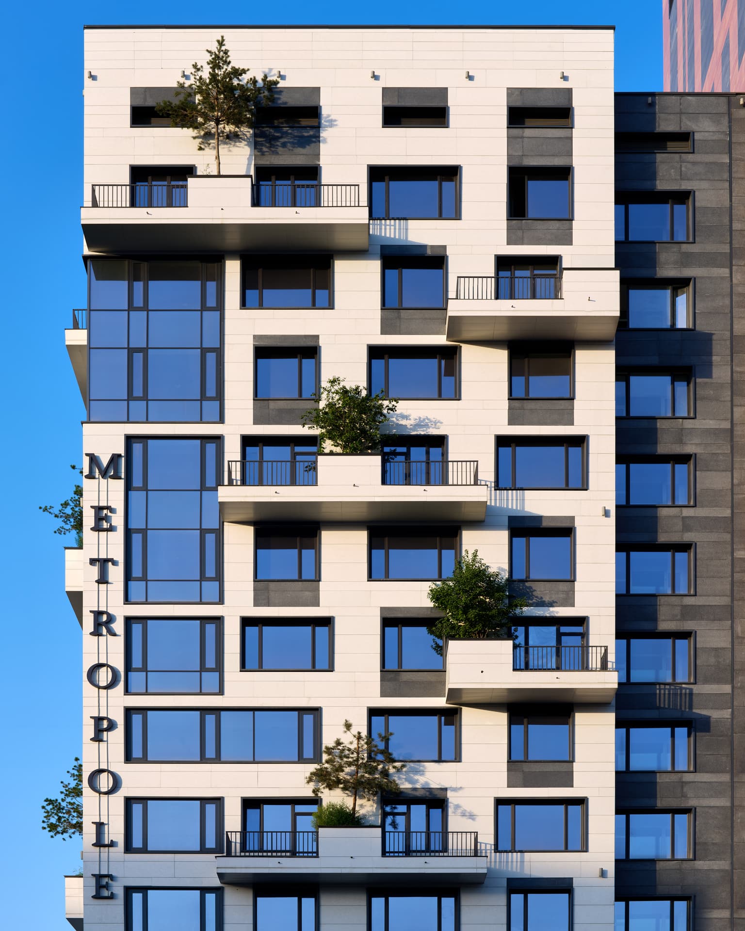 Законы, по которым развиваются города, постоянно меняются | Фотограф: Дамир Отеген 
