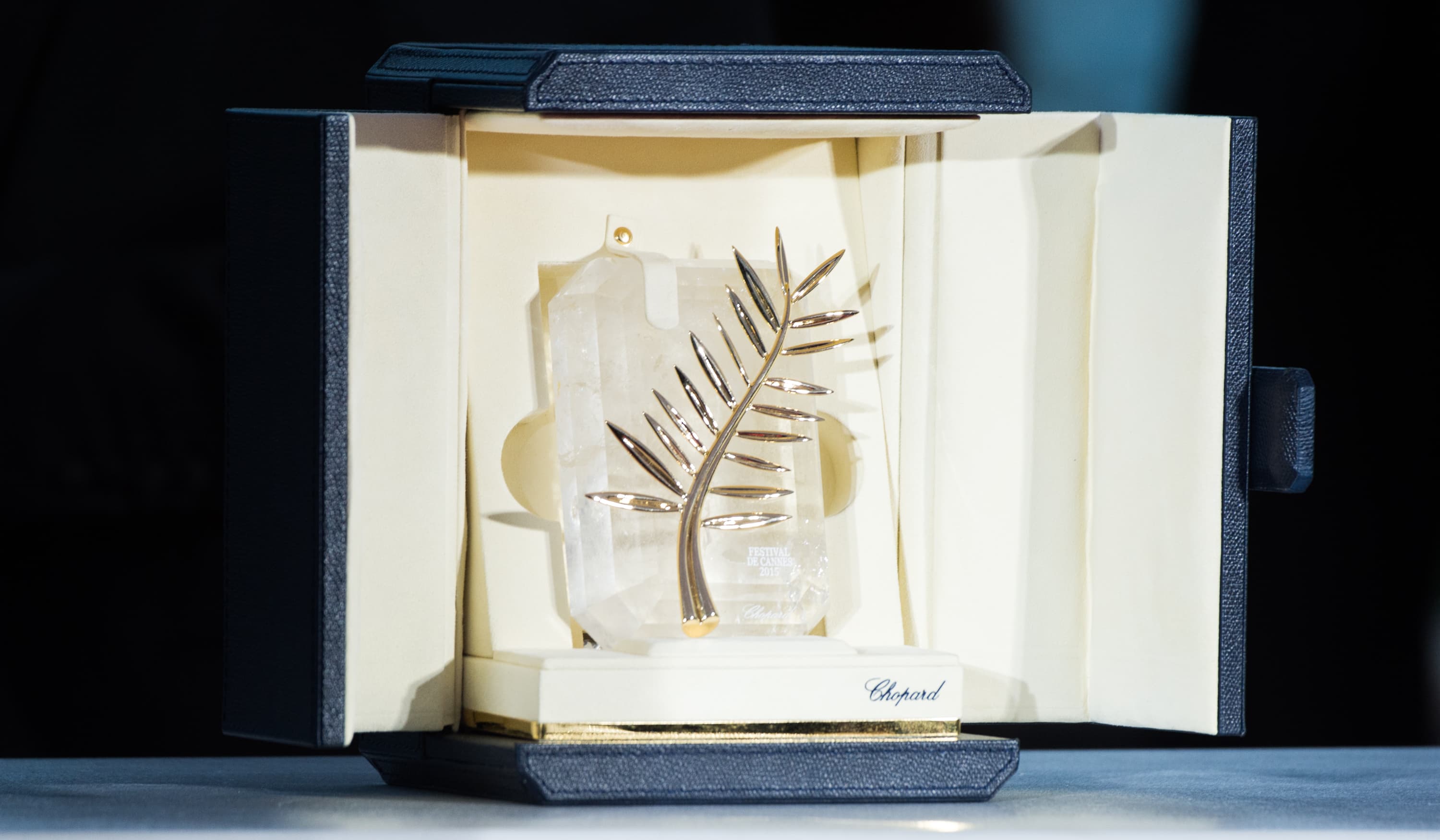 Золотая пальмовая ветвь | Фотограф: Самир Хуссейн | Getty Images