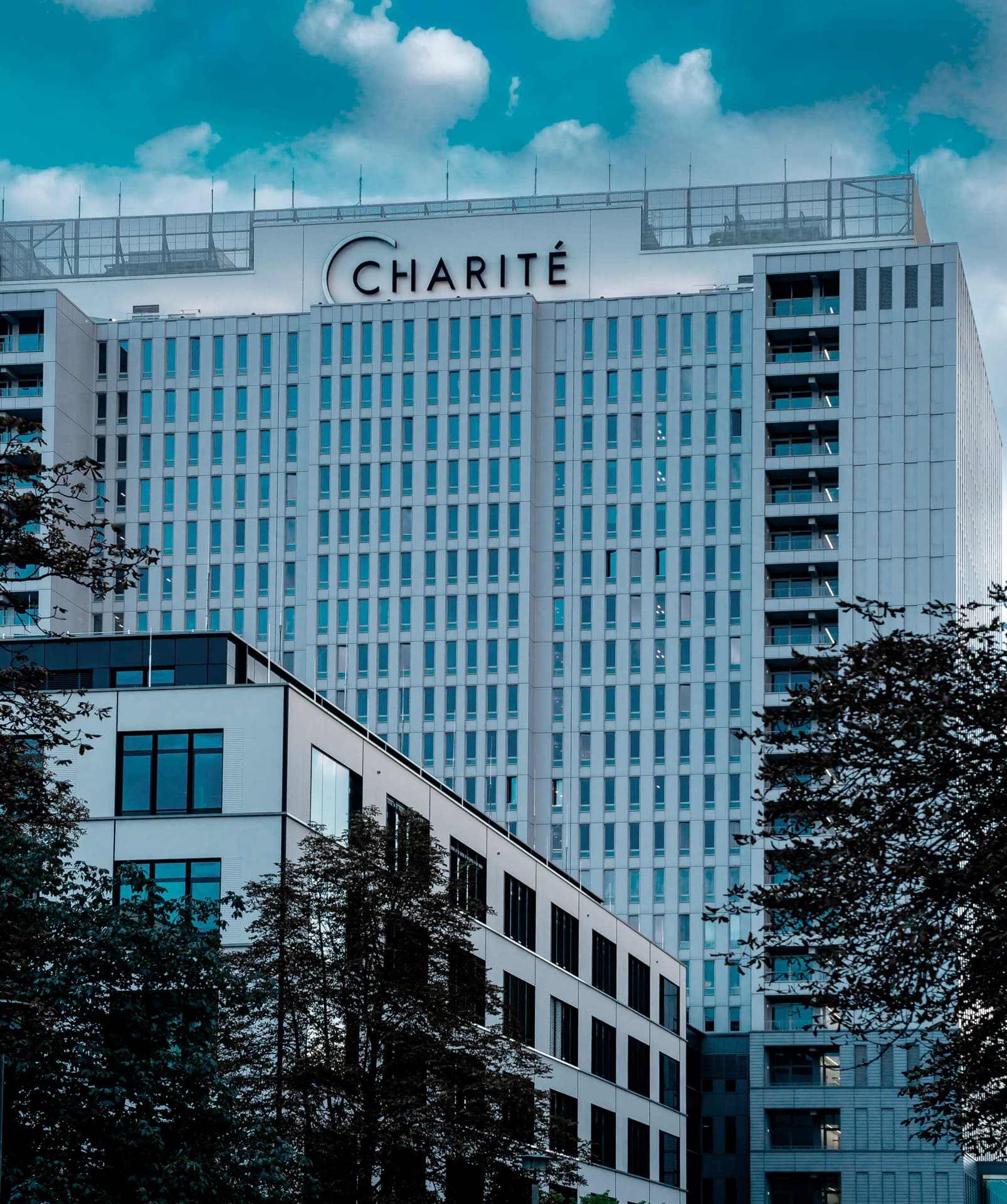 Ашық дереккөздер