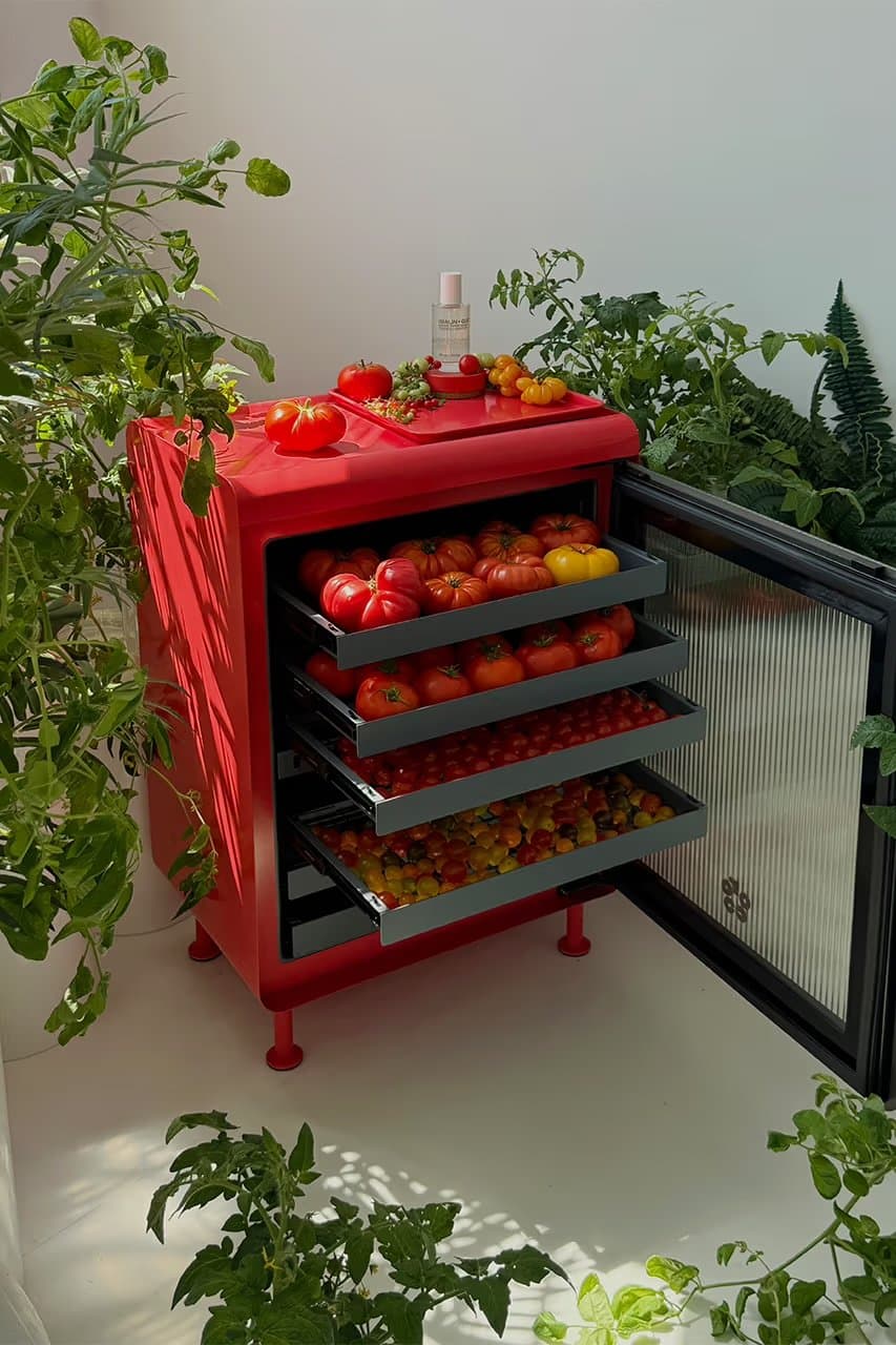 roccofridge.com